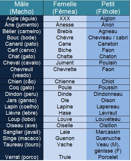 Nomes Franceses